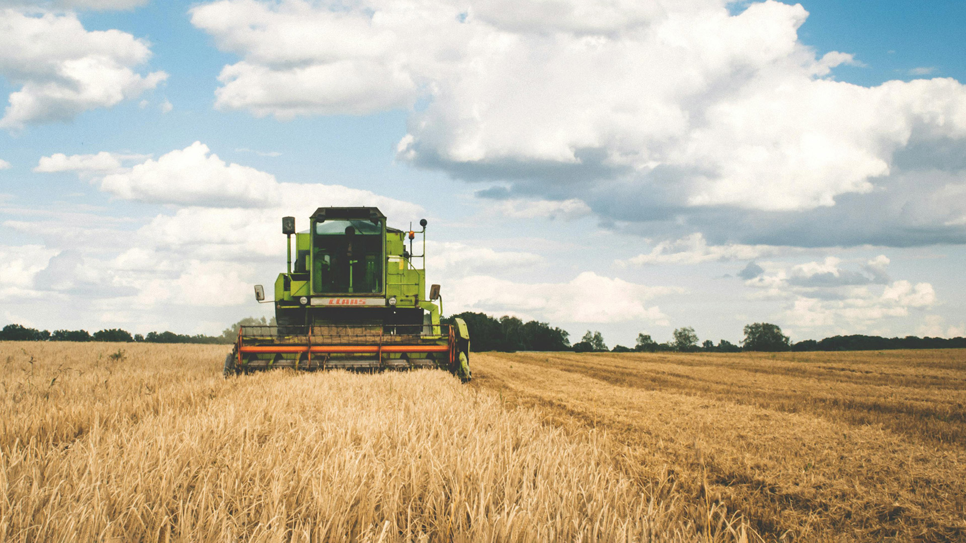 Servicios para la agroindustria